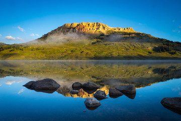 复眼的昆虫有哪些
