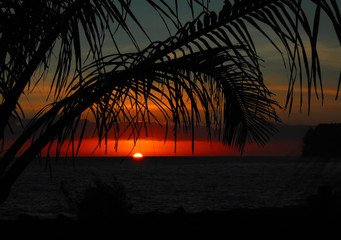 中考体育考考哪些项目