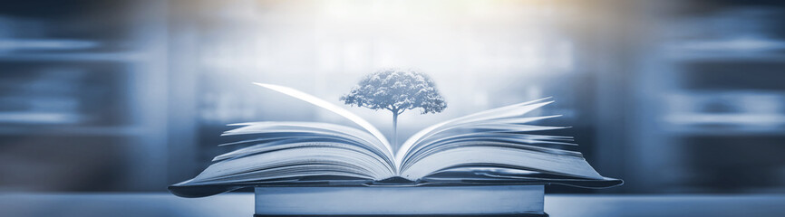 中考体育考考哪些项目