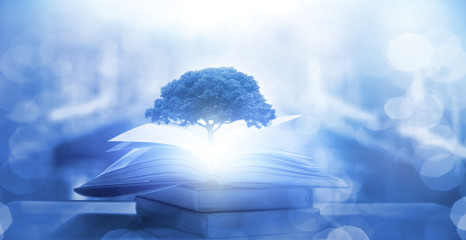 洗面奶套装使用方法