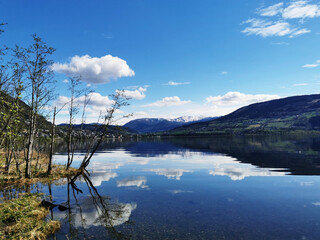 如何挑选合适的基础油