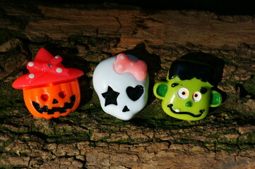 复眼的昆虫有哪些