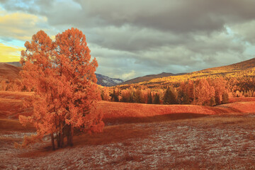 夏威夷的特色介绍