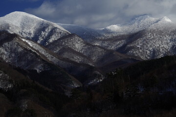 复眼的昆虫有哪些