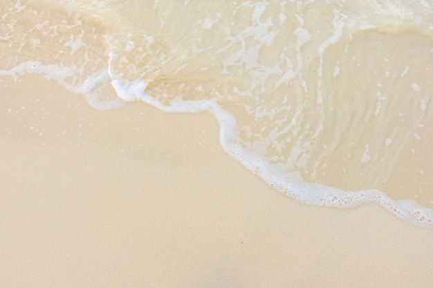 中考体育考考哪些项目