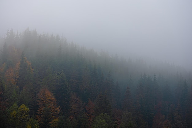 吉他和弦转换不利索怎么办？