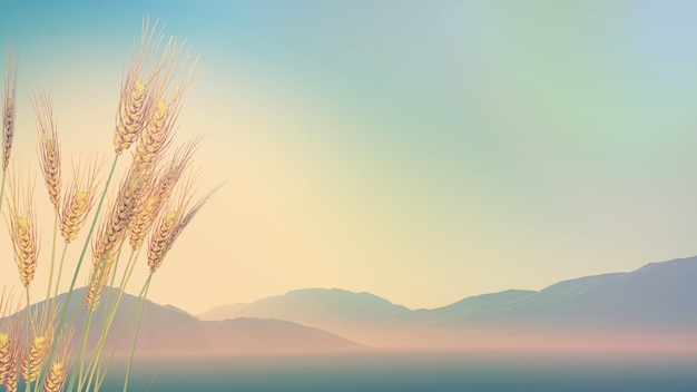 仙家给弟子托过梦吗？