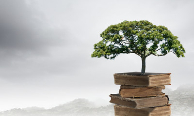 夏威夷的特色介绍