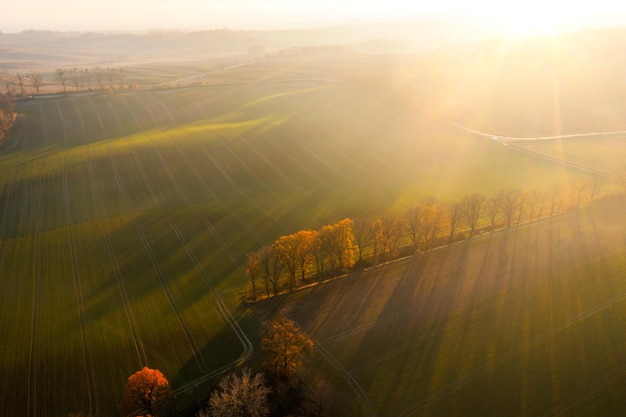仙家给弟子托过梦吗？