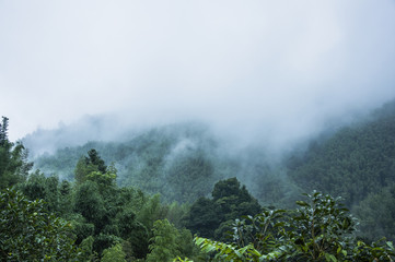 宝马保养用什么机油发动机不会出现抖动呢？